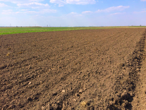 istock Plowed field on a sunny day. Agricultural landscape. 1203555239