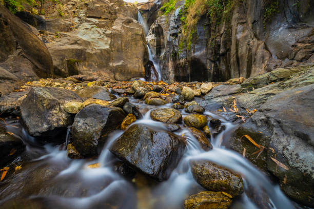 istock Kerala Kundu Waterfalls 1203560413