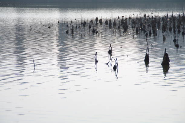 istock The lake of winter is at rest. 1203562075