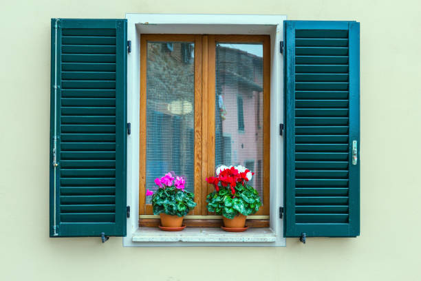 istock The shutters and cyclamens 1203563323