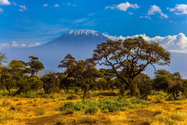 istock Amboseli is a biosphere reserve 1203563438