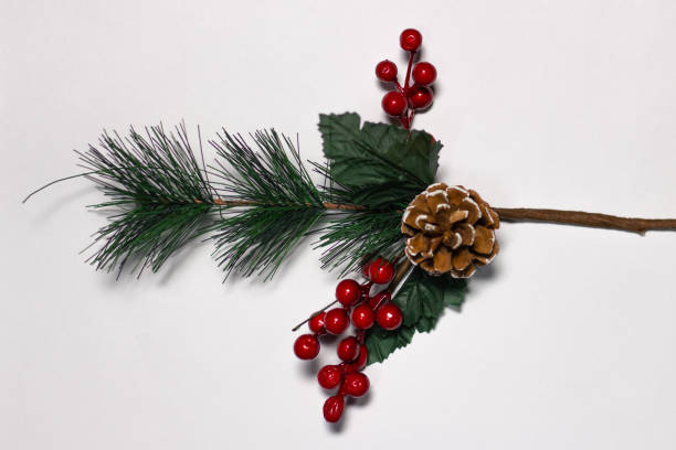 istock Coniferous green branch with a cone and red berries on a white background 1203567662