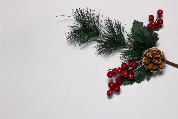 istock Coniferous green branch with a cone and red berries on a white background 1203567665