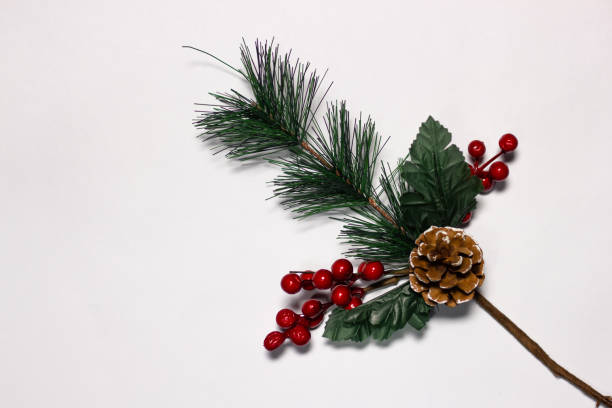 istock Coniferous green branch with a cone and red berries on a white background 1203567695