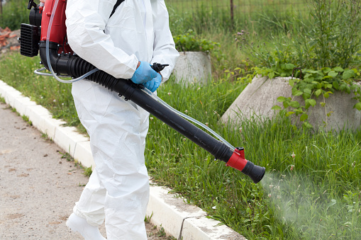 Man spraying insects outdoors. Pest control.