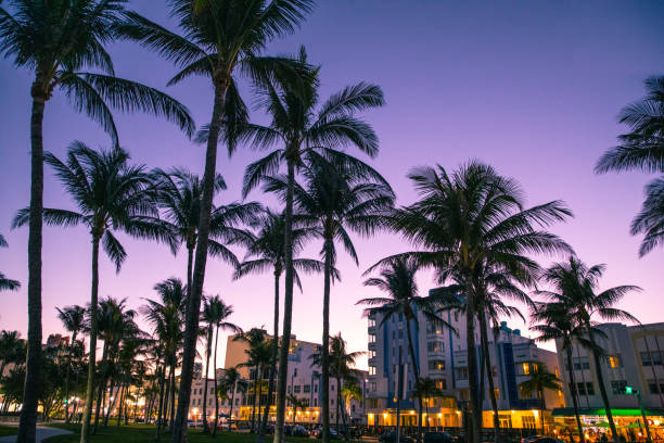 istock Miami Beach nightlife 1203569294