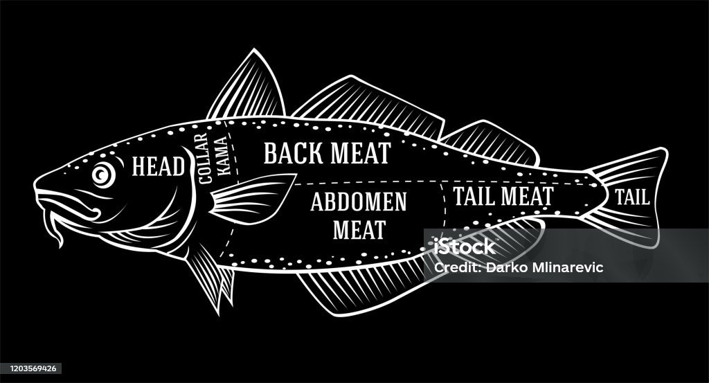 Cod Diogram Diagram Cutting Guide For Cod Stock Illustration - Download Image Now ...