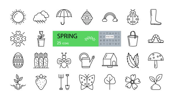 Vector set of 25 spring icons with editable stroke. sun, clouds with rain, umbrella, boot, rainbow, beehive, flower, love, ladybug, bucket, worm, easter egg, carrot, watering can, birdhouse, leaves Vector set of 25 spring icons with editable stroke. sun, clouds with rain, umbrella, boot, rainbow, beehive, flower, love, ladybug, bucket, worm, easter egg, carrot, watering can, birdhouse, leaves heart worm stock illustrations