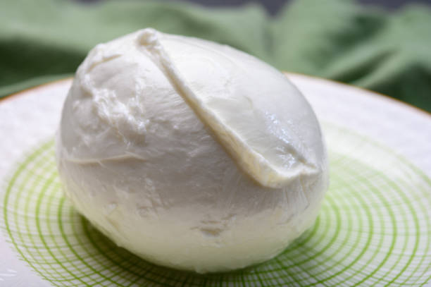 istock Cheese collection, soft white Italian mozzarella di bufala campana 1203572395