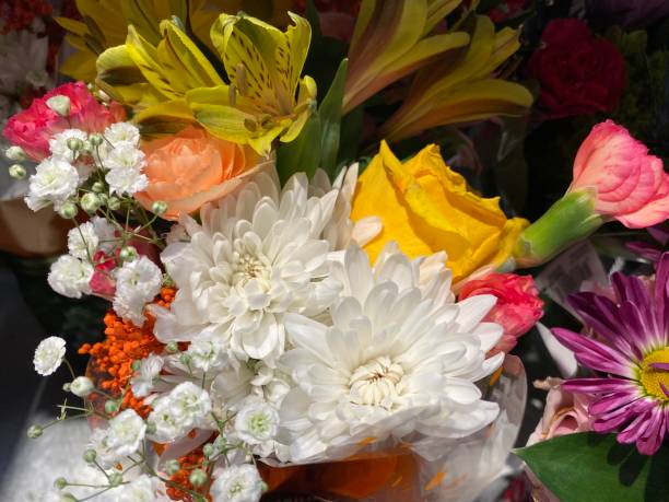 istock Colorful Flowers for All Season 1203573242