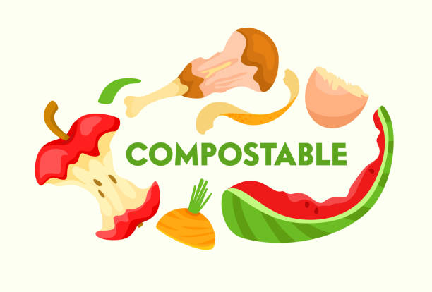 Compostable Vegetable, Fruit and Meat Kitchen Scraps on White Background. Organic Waste for Domestic Composting Parings and Peelings for Poster Banner Flyer Brochure. Cartoon Flat Vector Illustration Compostable Vegetable, Fruit and Meat Kitchen Scraps on White Background. Organic Waste for Domestic Composting Parings and Peelings for Poster Banner Flyer Brochure. Cartoon Flat Vector Illustration peeling food stock illustrations