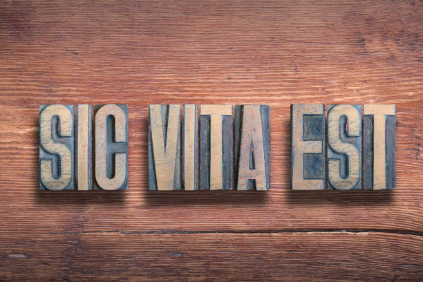 istock sic vita est wood 1203578679