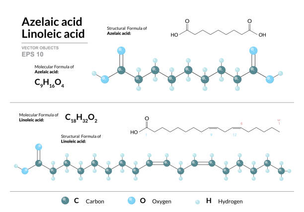 Azelaic and Linoleic acids. Dicarboxylic and Polyunsaturated Omega-6 Fatty Acid. Structural chemical formula and molecule 3d model. Atoms with color coding. Vector illustration Azelaic and Linoleic acids. Dicarboxylic and Polyunsaturated Omega-6 Fatty Acid. Structural chemical formula and molecule 3d model. Atoms with color coding. Vector illustration omega 3 and 6 stock illustrations