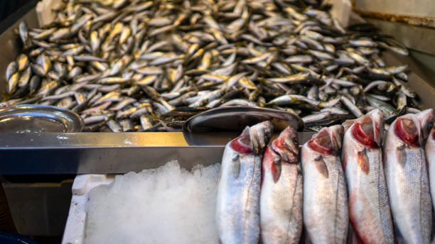 istock Fresh fish in the fish market 1203582415