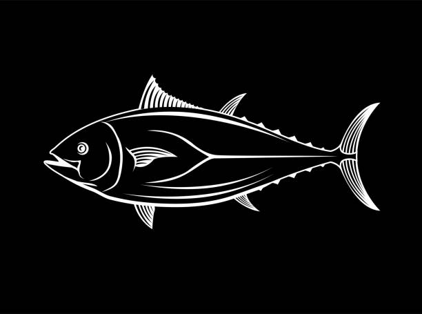 Tuna Vector illustration of tuna fish in black and white graphic style fish clip art black and white stock illustrations