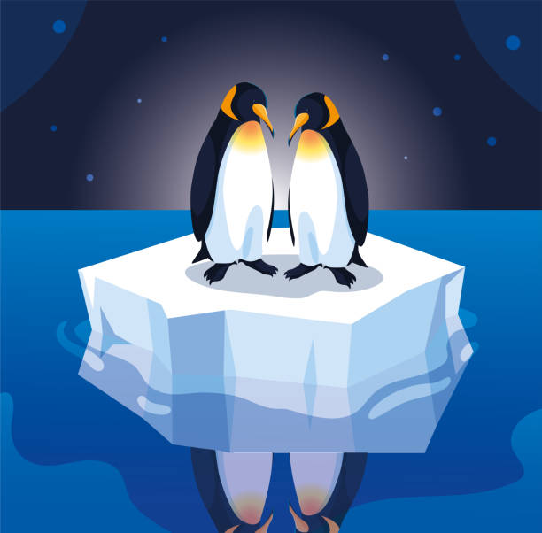 ilustrações de stock, clip art, desenhos animados e ícones de penguin couple on an ice floe drifting - iceberg banner animal bird