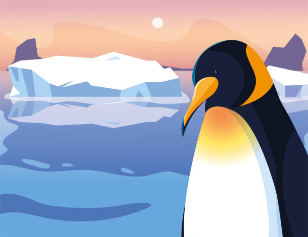 ilustrações de stock, clip art, desenhos animados e ícones de penguin at the north pole, arctic landscape - iceberg banner animal bird