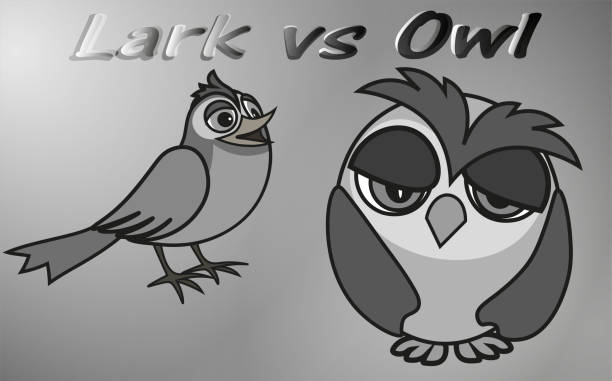 Early Lark versus Sleepy Owl - two chronotypes, vector clip art Different chronotypes - owls and larks lark stock illustrations
