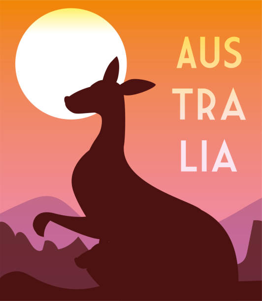 캥거루와 오스트레일리아 라벨이 부착된 카드 - kangaroo outback australia sunset stock illustrations