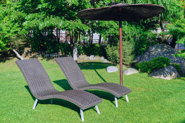 istock Sun bed onto green grass on a sunny day 1203585093