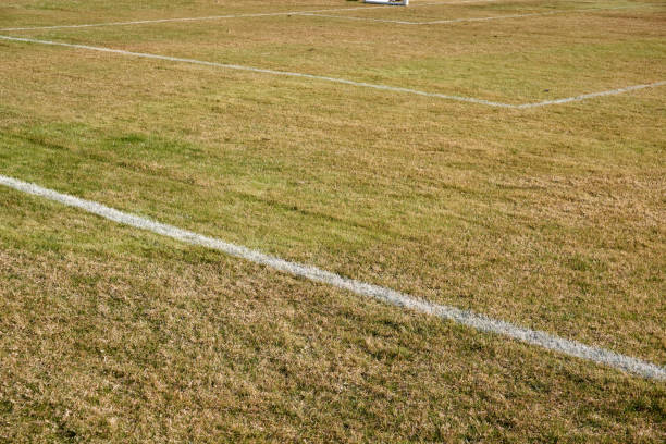 футбольное поле с коричневой, старой травой - soccer soccer field artificial turf man made material стоковые фото и изображения