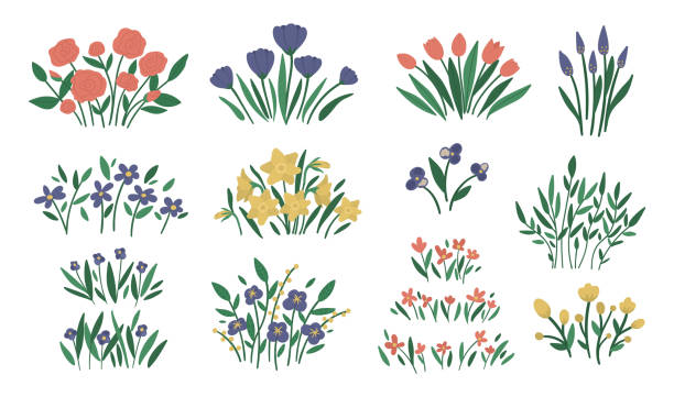 farklı çiçek düzenlemeleri vektör illüstrasyon. bahçe dekoratif bitkiler buketleri. güzel bahar ve yaz otlar ve çiçekler koleksiyonu. - clip art illüstrasyonlar stock illustrations