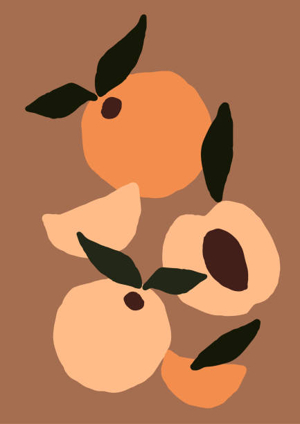 abstrakte moderne pfirsichfrucht auf leichtem hintergrund - peach dark peaches backgrounds stock-grafiken, -clipart, -cartoons und -symbole