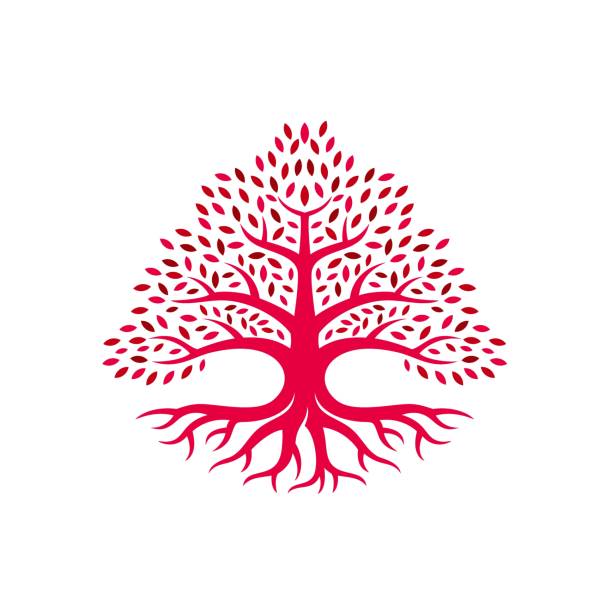 wektor ilustracja dąb drzewo czerwony kolor sylwetka styl. - tree root nature environment stock illustrations
