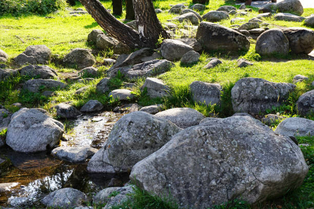 Beautiful pond next to green grass and grey stones