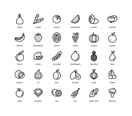30 Fruit Vegetable Icons - Line Series