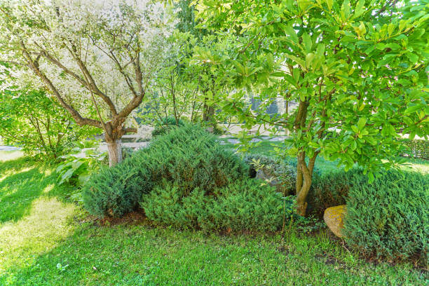 istock Backyard garden decoration concept 1203593936