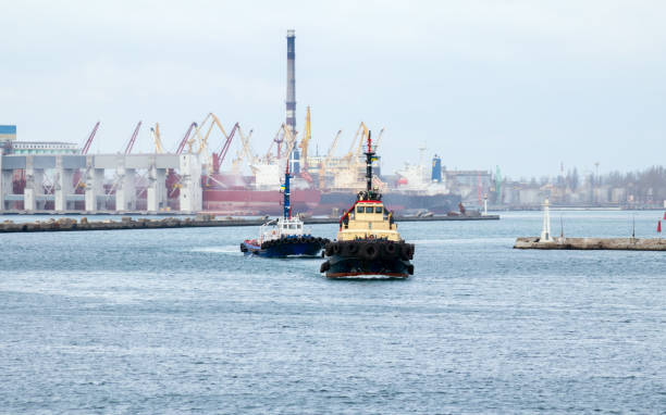 istock two tugs work in the seaport harbour 1203597854