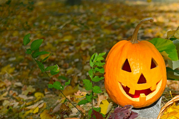 istock Pumpkin-head against a background of a autumn forest. 1203601906