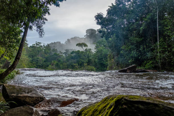 Rapids on Voltaire River, French Guiana stock photo