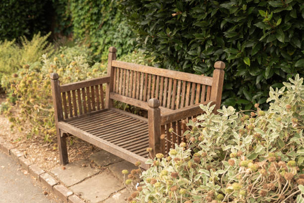 istock Old bench in nature during sunny day. 1203602286