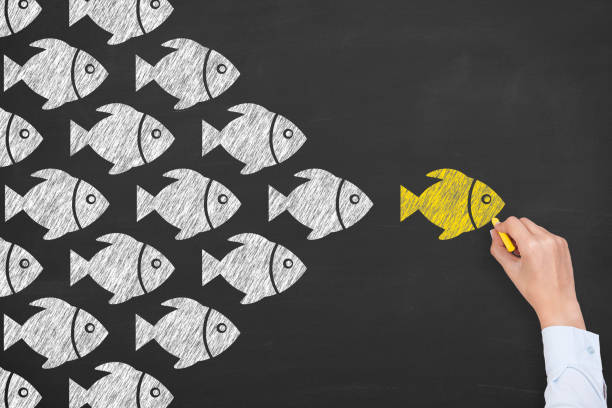 istock Leadership Concepts with Fishes on Chalkboard Background 1203604594