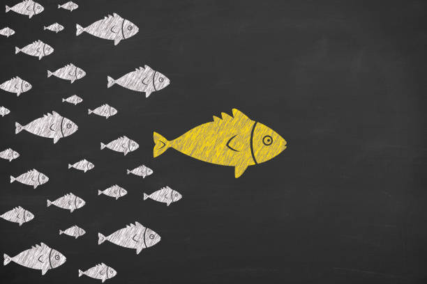 istock Leadership Concepts with Fishes on Chalkboard Background 1203606745