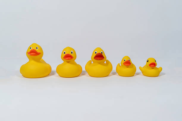 istock Yellow rubber ducks isolated on white background. Bath duck toys 1203607850
