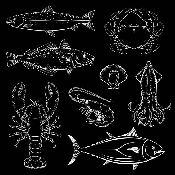 Sheep Vector illustration set of fish and seafood in black and white graphic style fish salmon silhouette fishing stock illustrations