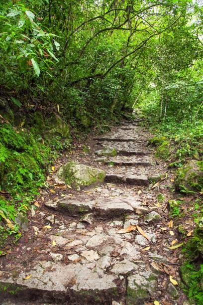 istock Machu Picchu, pathway to peruvian incan town 1203609216