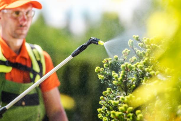 istock Seasonal Plants Insecticide 1203611983