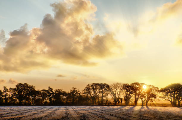 Sunrise glowing through the winter trees on a frosty landscape.