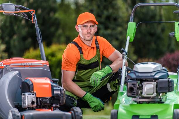 istock Reviewing Lawn Mowers 1203613534