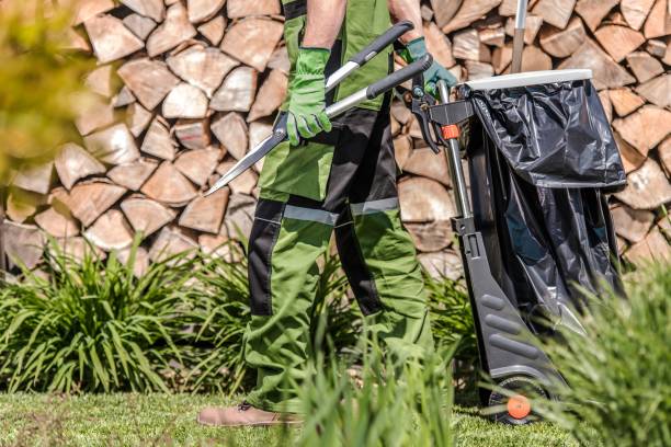 istock Gardener Debris Bucket 1203613573