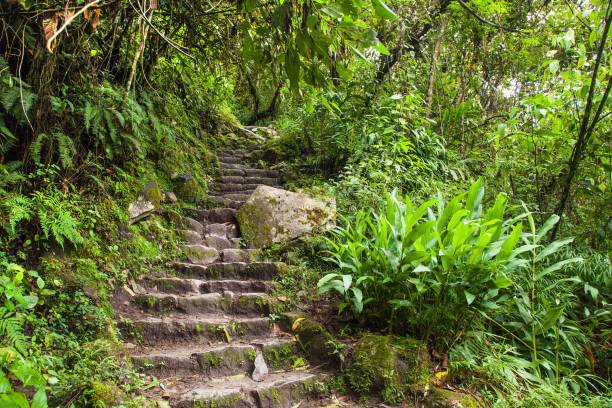 Machu Picchu, pathway to peruvian incan town, unesco world heritage site, sacred valley, Cusco region, Peru