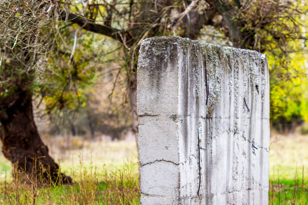 istock Zlato Pole Protected Area in Bulgaria 1203615108