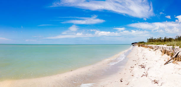 istock Panorama from the shoreline with blue sky and clouds, Florida 1203615269