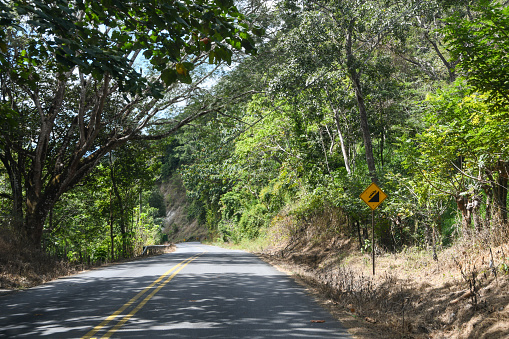 Steep Decline on Curving Mountain Road in the Cloud Forest, Costa Rica