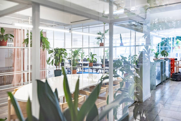 istock Business co-working meeting room, green plants 1203616465