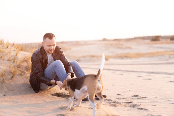 istock A young Caucasian man dressed black leather jacket and blue jeans sits on sandy beach next to his friend the dog Beagle breed. 1203617477